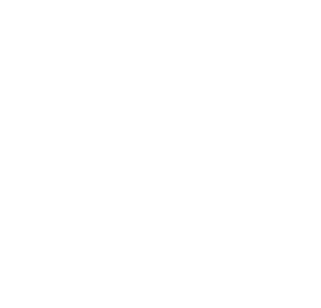 dreamchaser-logo-white